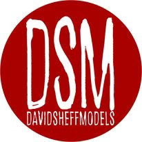 Logo des Designstudios David Sheff Models, stilvoll gestaltet und repräsentativ für die Marke